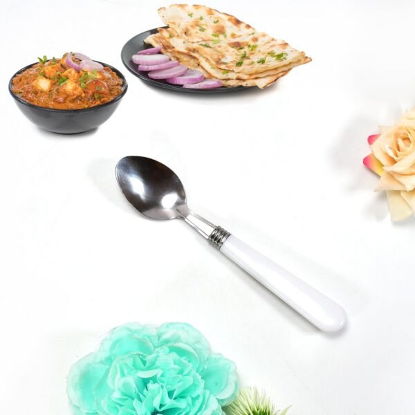 0161 STAINLESS STEEL SPOON WITH PLASTIC COMFORTABLE GRIP DINING SPOON